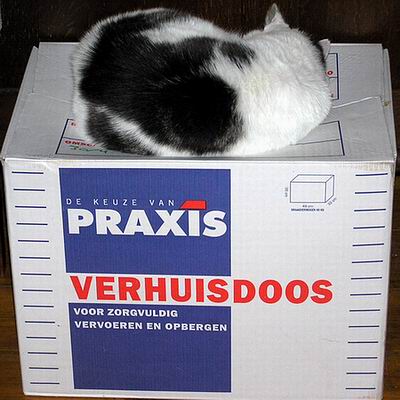 verhuisdoos.JPG