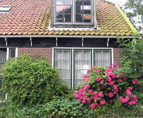 huis