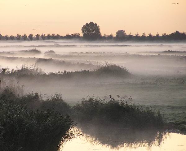 ochtend 9-10-09